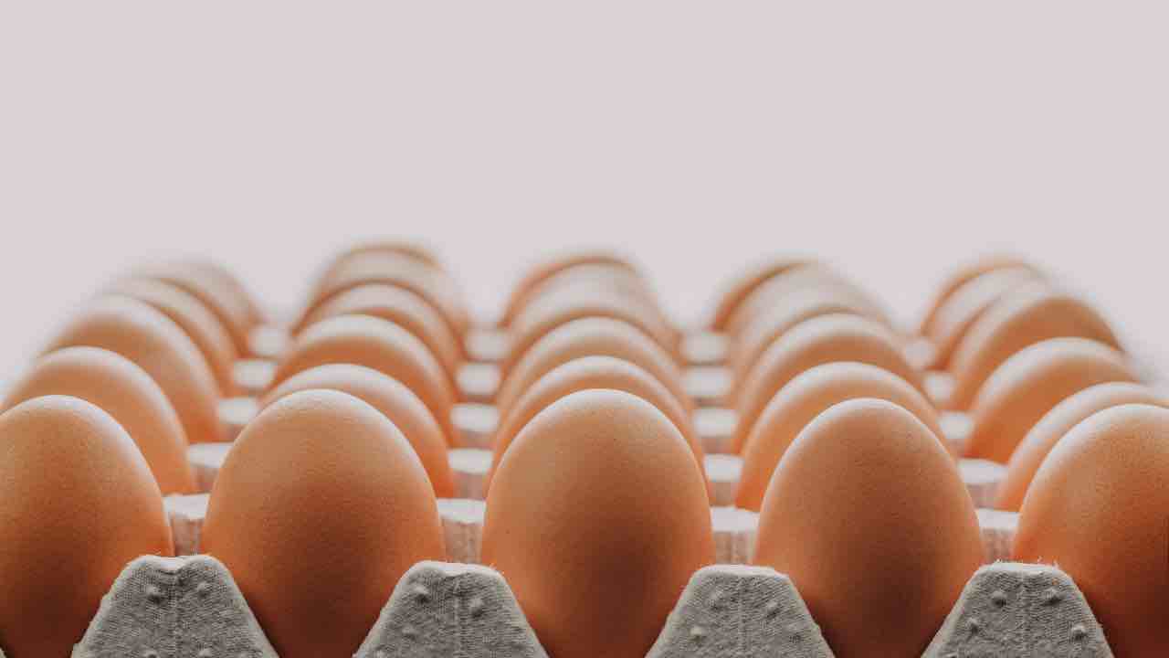 Uova come si conservano | nel frigo? O fuori frigo?